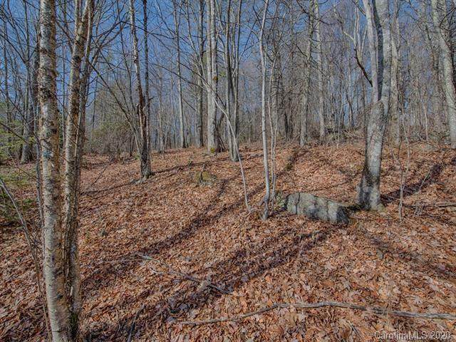00 Eagles Nest Road - Photo 1
