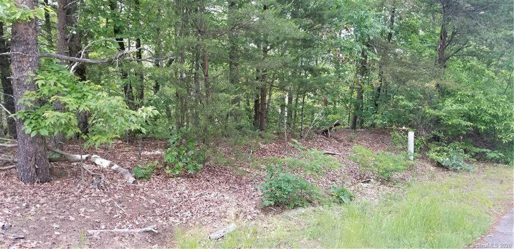 8768 Lisa Trail - Photo 1