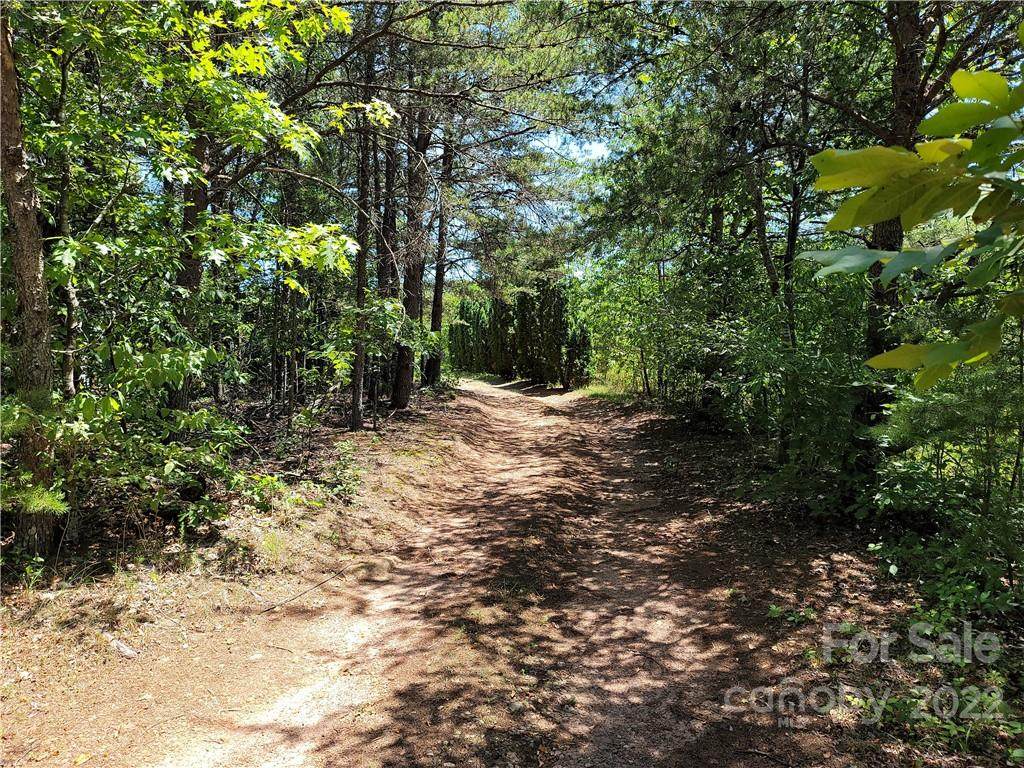 3917 Speas Frst Street - Photo 1
