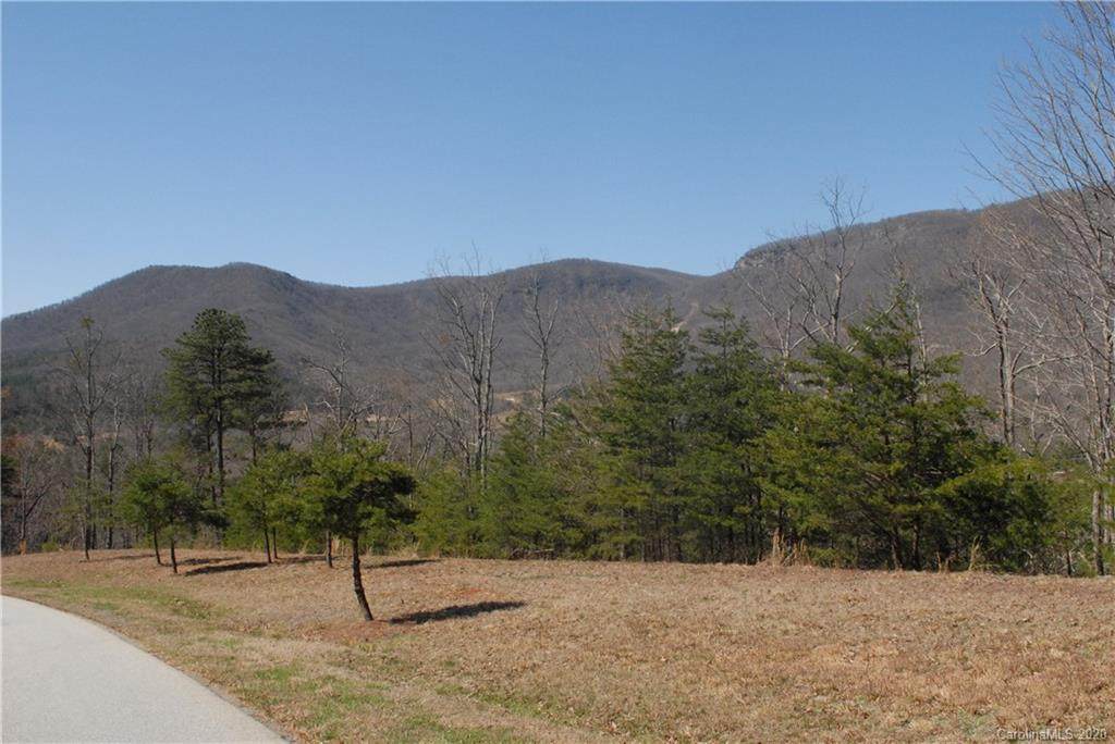 00 Deep Gap Farm Road - Photo 1