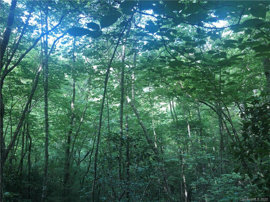 0 Canopy Lane - Photo 1
