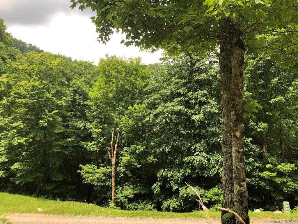 10 Mountain Gait Drive - Photo 1