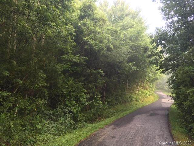 Lot 39 Coyote Hollow Road - Photo 1