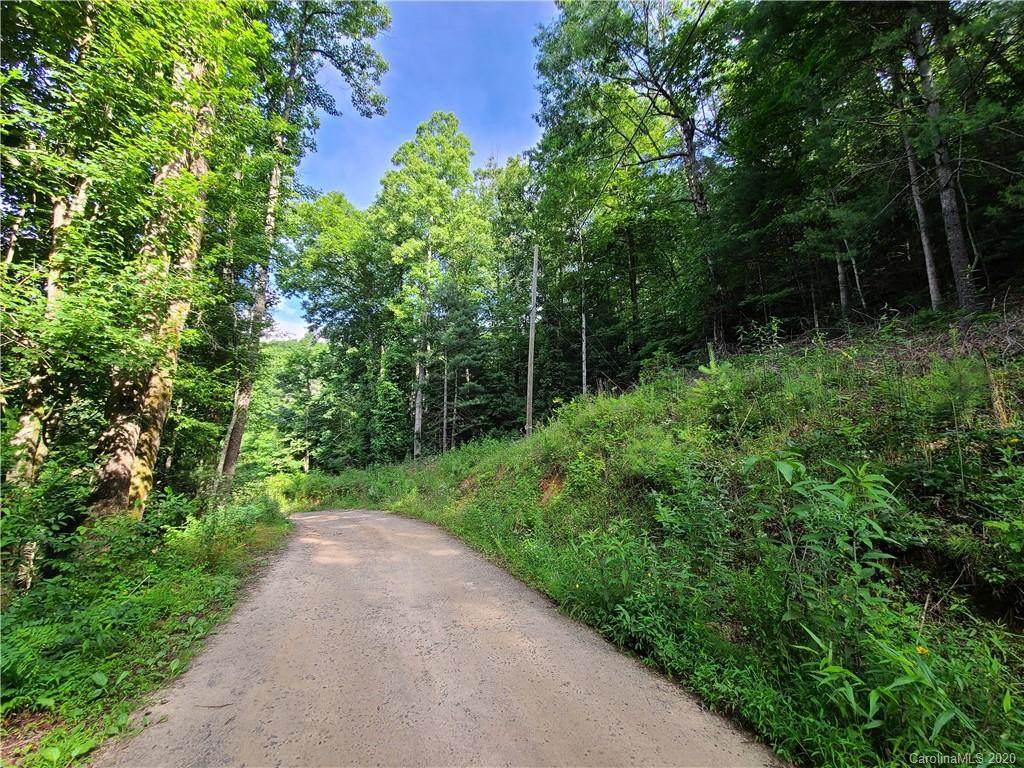 LOT 44 Laurel Mountain View Road - Photo 1