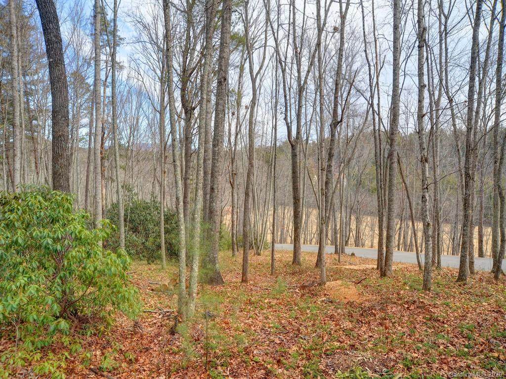 51 Bridgewater Drive - Photo 1