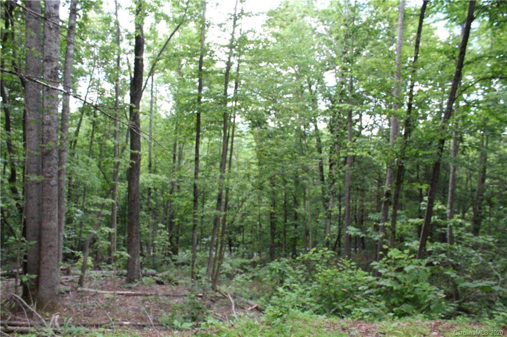9 Dun Roamin Drive - Photo 1