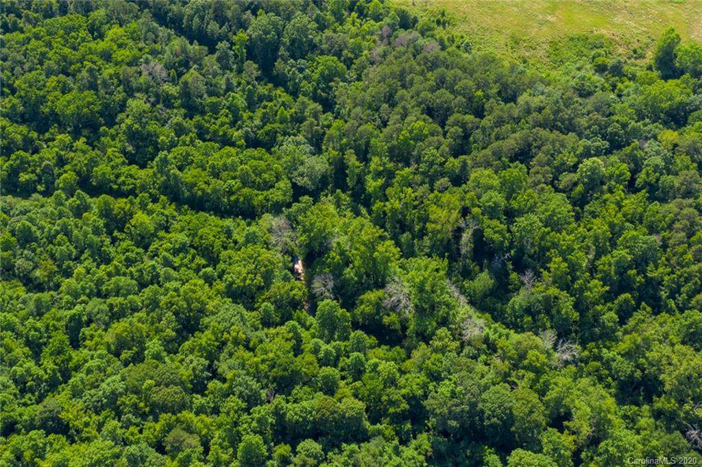 Lot 3 Wildlife Lane - Photo 1