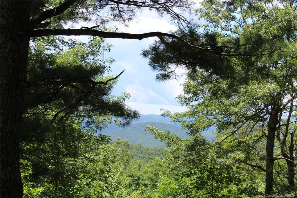 676 Sahalee Trail - Photo 1