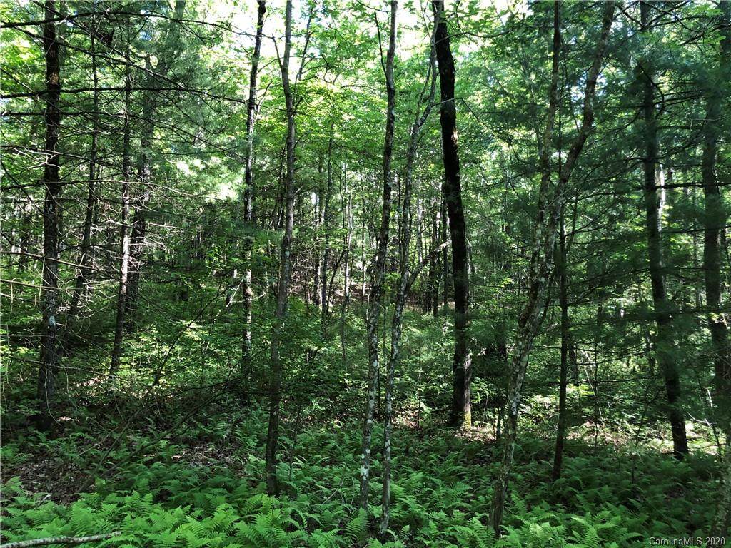 TBD Feed Rock Road - Photo 1