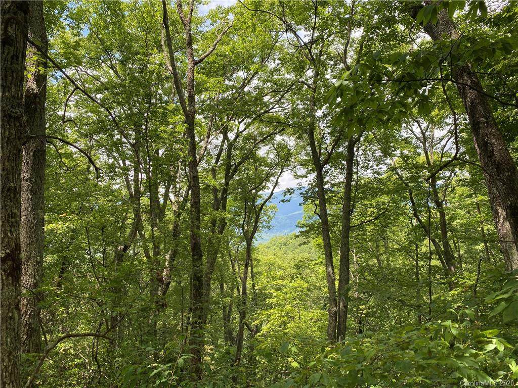 141 Preserve Road - Photo 1
