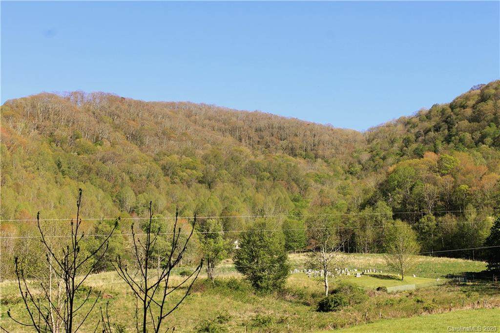 291 Tony Plemmons Road - Photo 1