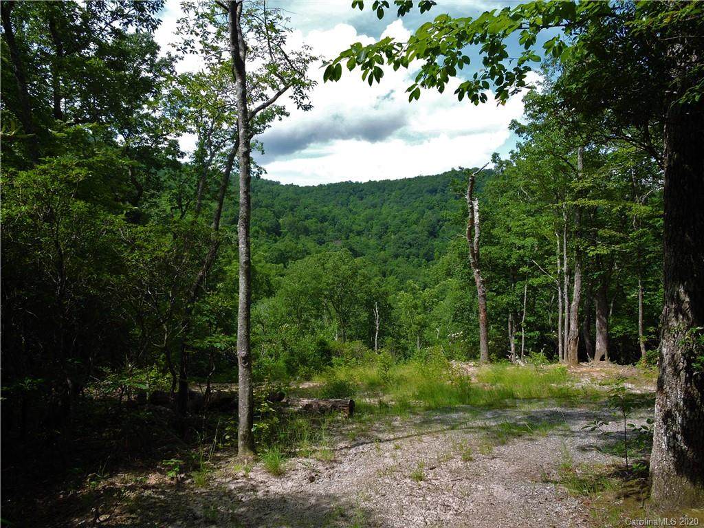 1443 Old Mill Road - Photo 1