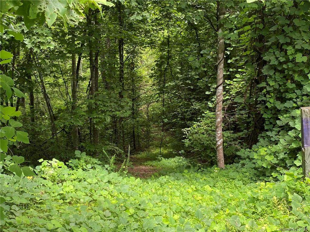 V/L Laurel Valley Drive - Photo 1