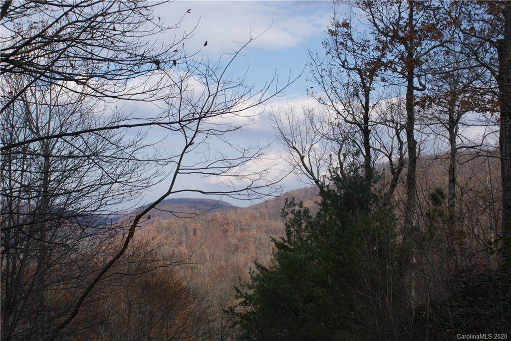 0000 Wild Magnolia Way - Photo 1