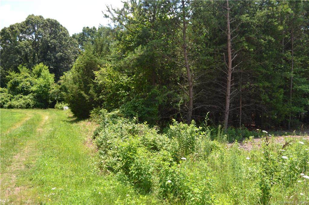 1333 Brawley School Road - Photo 1