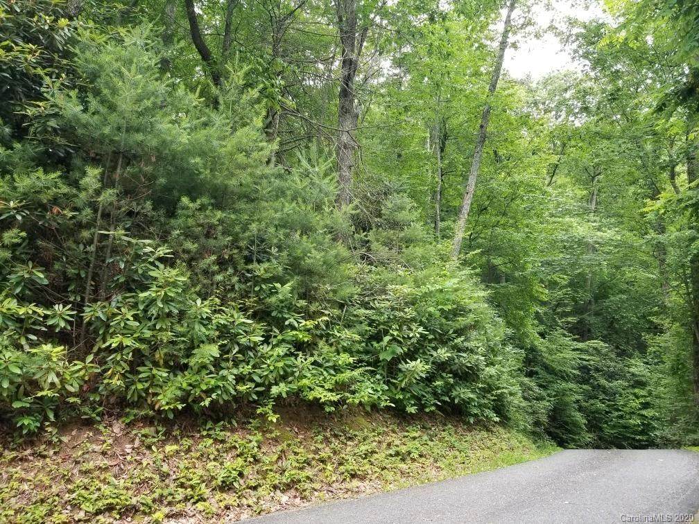Lot #74 Frank Davis Road - Photo 1