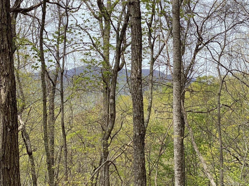 00 Haven Ridge Trail - Photo 1
