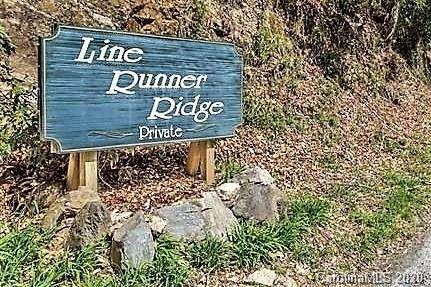 Lt 3 Line Runner Ridge Road - Photo 1