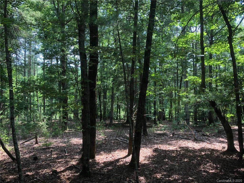 1593 Yellow Fork Trail - Photo 1