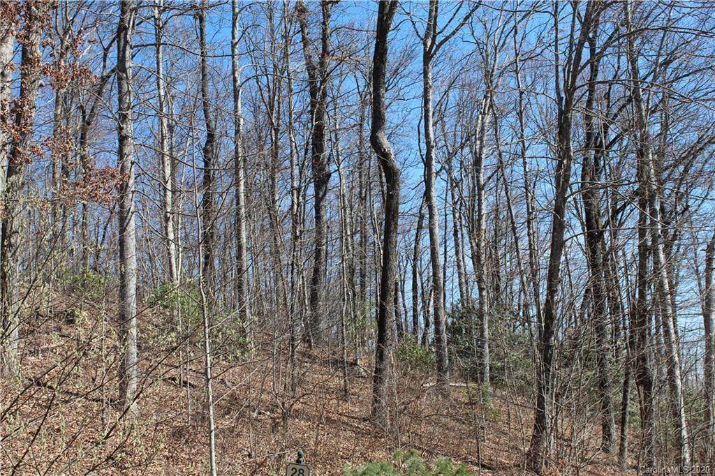 242 Black Bear Ridge Trail - Photo 1