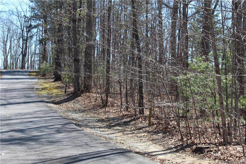 100 Brown Bear Ridge Trail - Photo 1