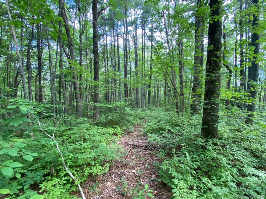 TBD Rock Creek Road - Photo 1