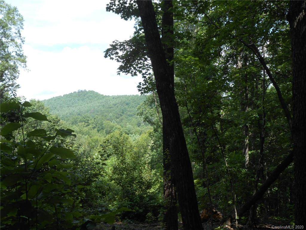 Lot 532 Towering Oaks Drive - Photo 1