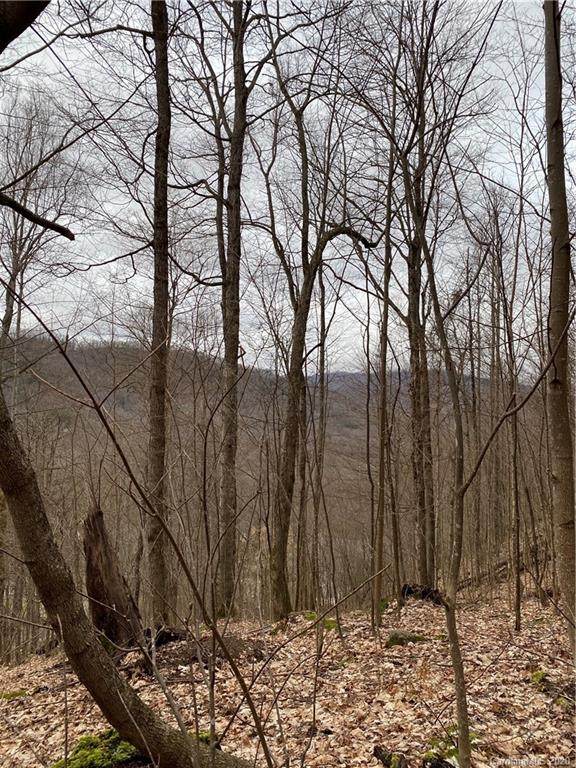 0000 Drakes Way - Photo 1