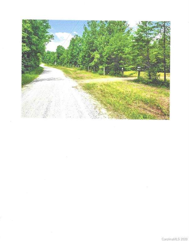 26.25 Acres Wilson Chapel Road - Photo 1