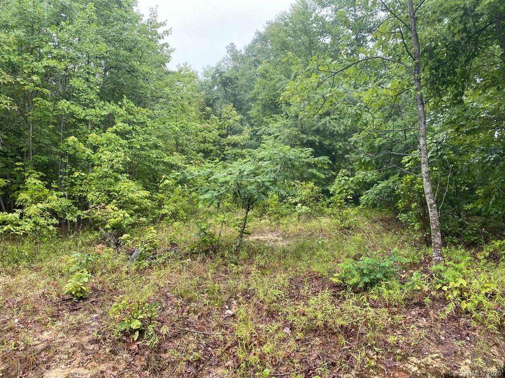 999 Laurel Knob Road - Photo 1