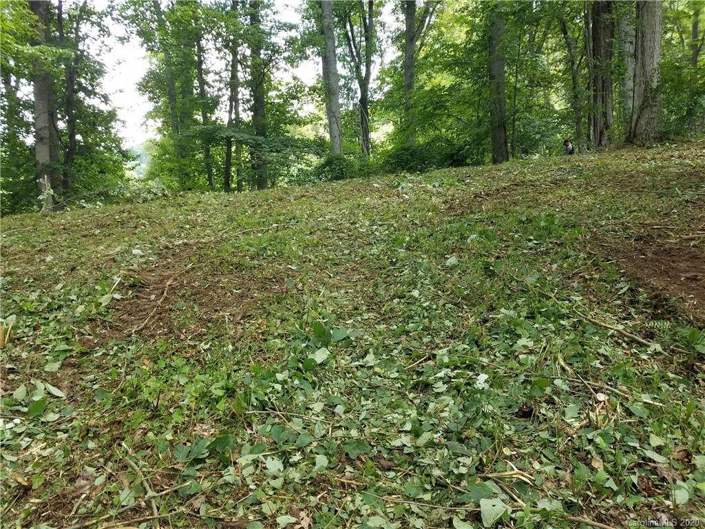 119 & 118 High Timber Trail - Photo 1