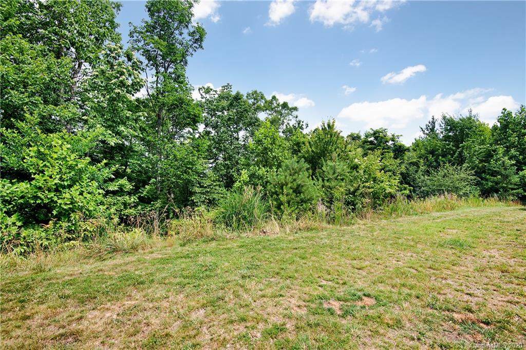 715 Wickhams Fancy Drive - Photo 1