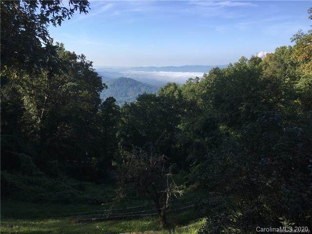 Lot 11 Elk Mountain Scenic Highway - Photo 1