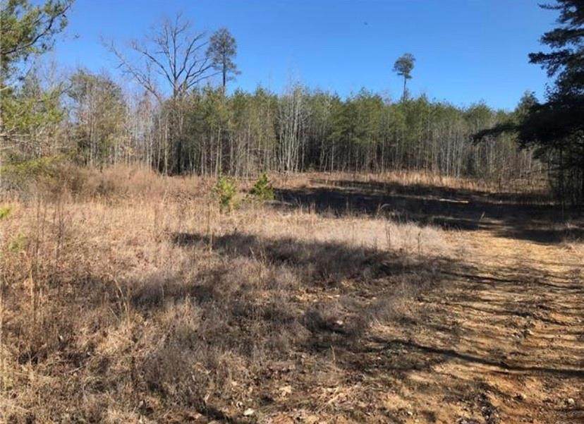 2524 Curt Ledford Road - Photo 1