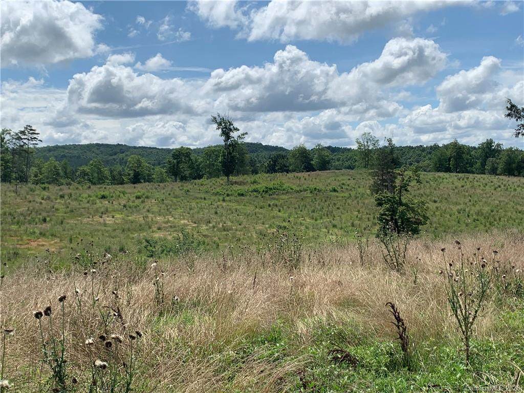 0 Cane Creek Road - Photo 1