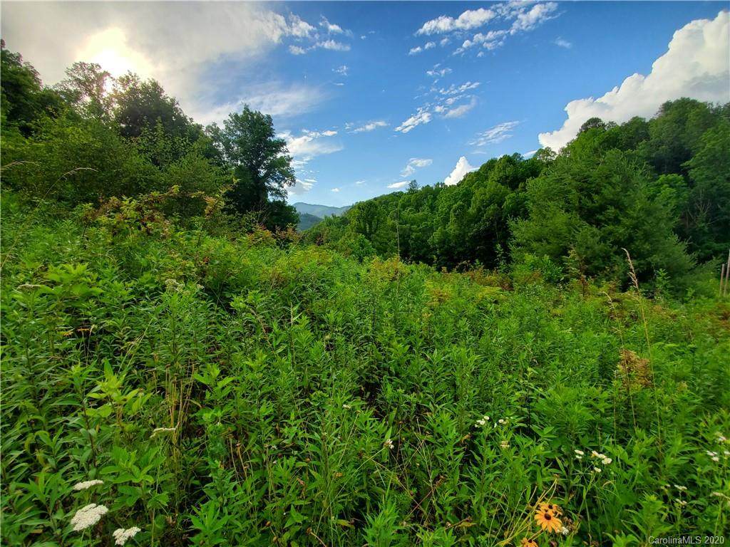 512 Langford Branch - Photo 1