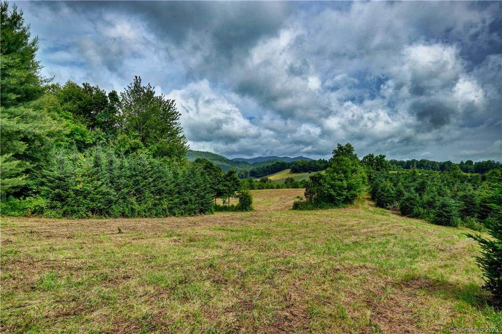 Tr A North Norton Road - Photo 1