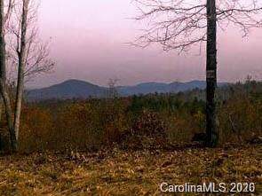 199 Grandview Peaks Drive - Photo 1