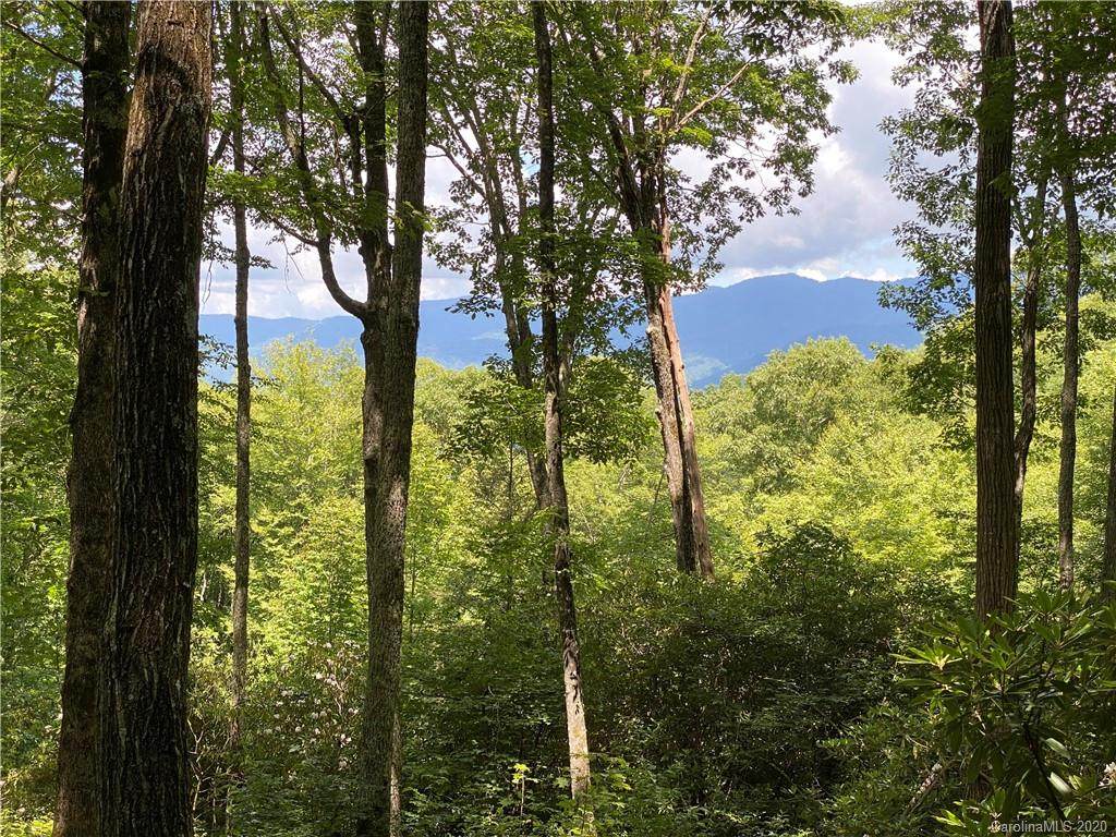 168 Preserve Road - Photo 1