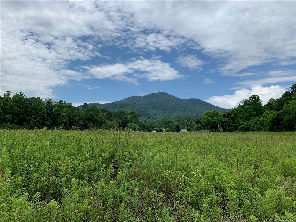 99999 Beaverdam Loop Road - Photo 1