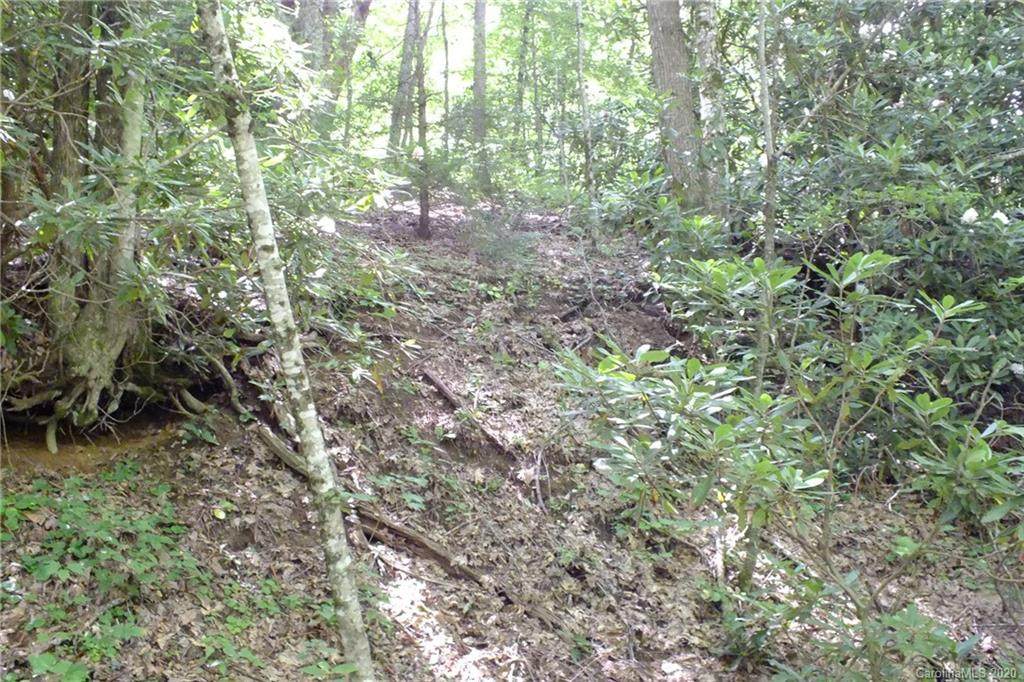 TBD High Hopes Lane - Photo 1