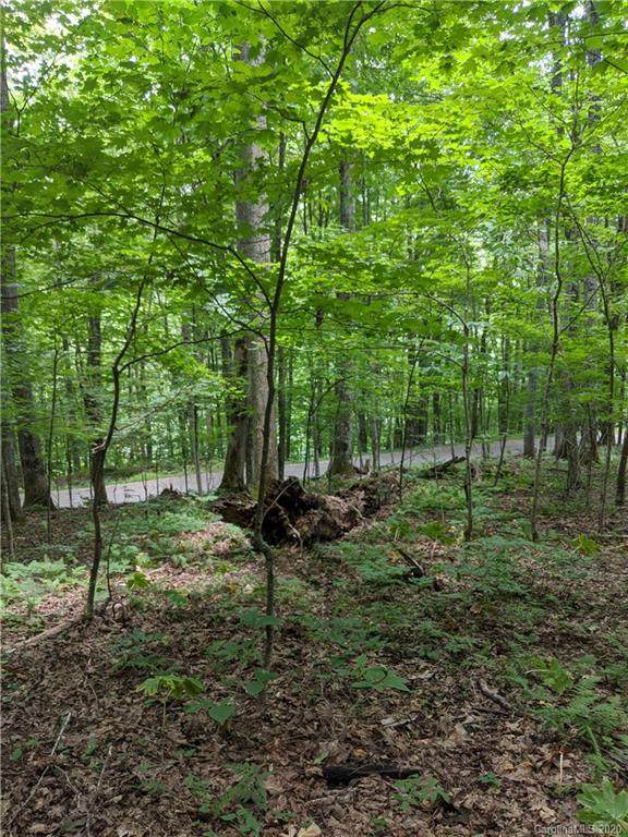 TBD Fox Den Road - Photo 1