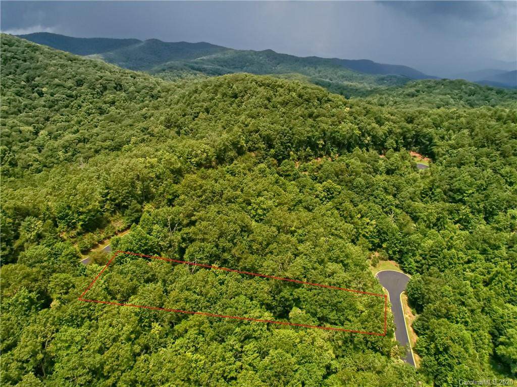 0 Mills River Way - Photo 1