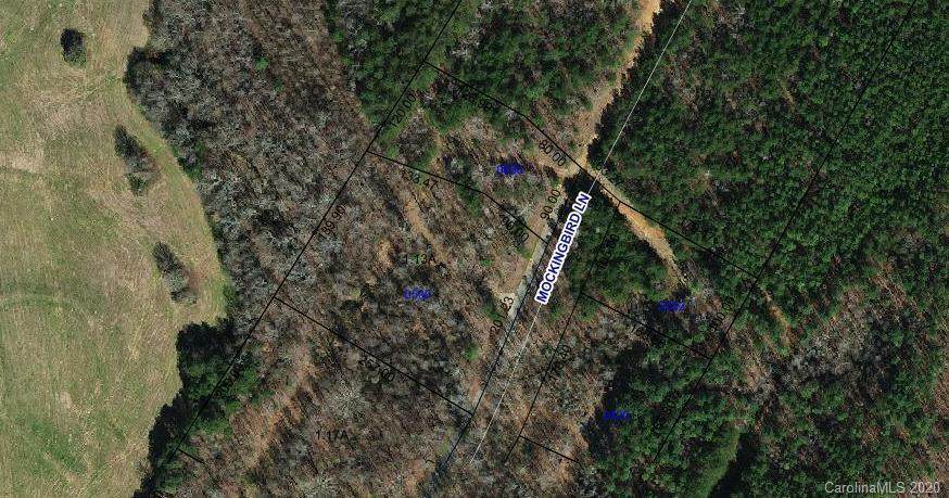 Lot 0 Mockingbird Lane - Photo 1