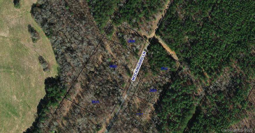 Lot 8C and 9C Mockingbird Lane - Photo 1