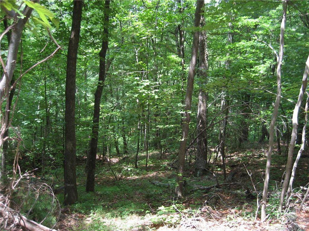 000 Bobcat Trail - Photo 1