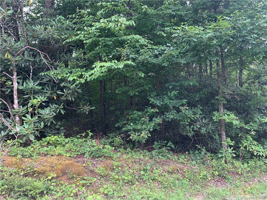 867 Wild Cherry Lane - Photo 1