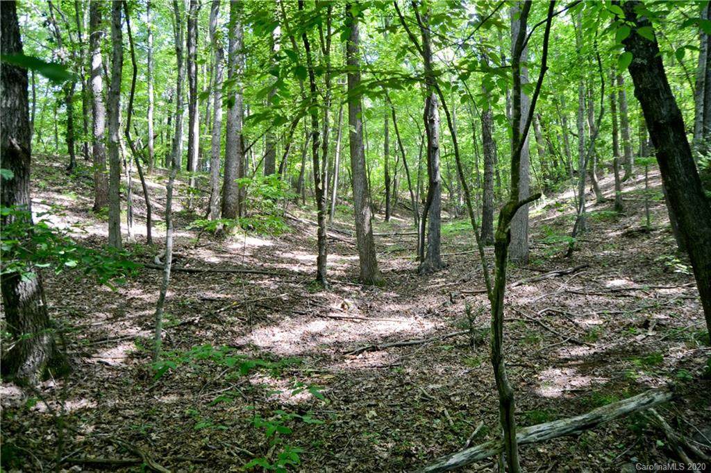 V/L Cottontail Drive - Photo 1