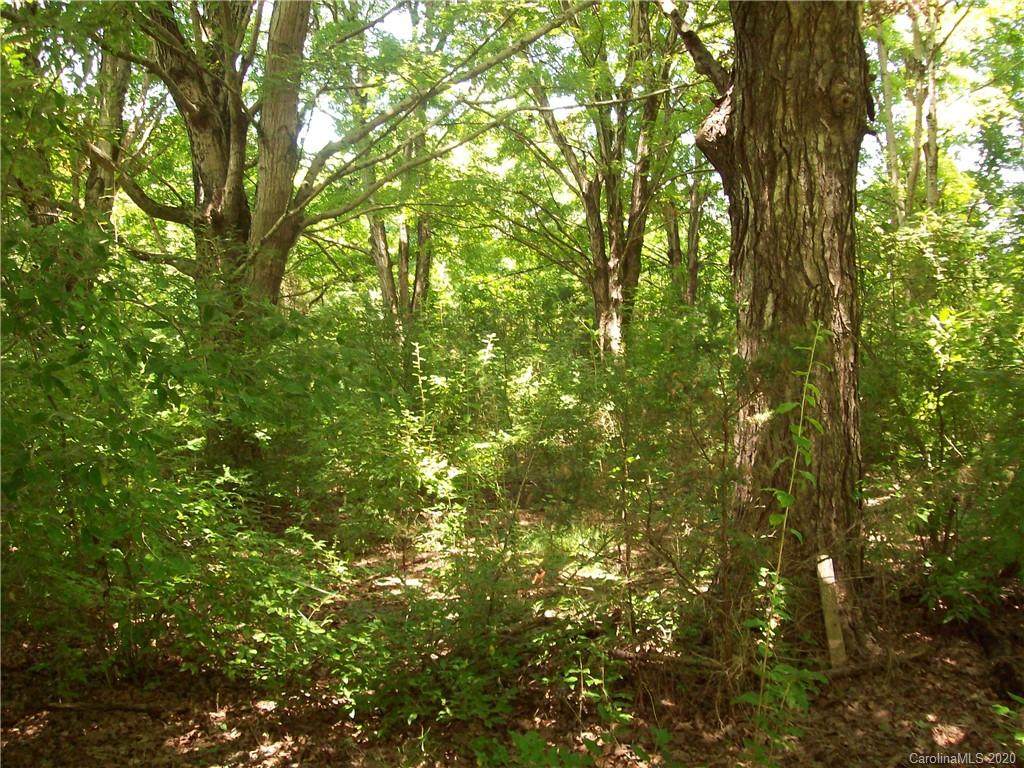 170 Stoney Knob Lane - Photo 1