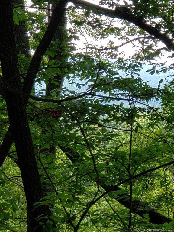 0 Sleepy Hollow Road - Photo 1